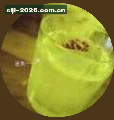 赵鹏